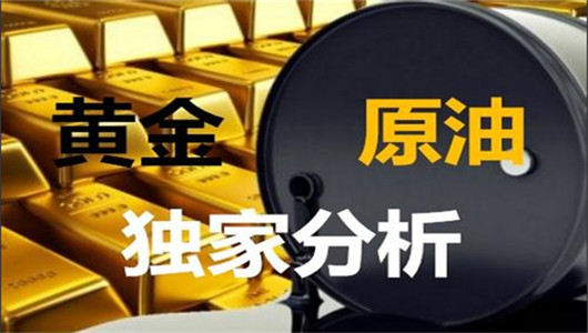 金最新建议，挖掘潜力，助力价值最大化实现
