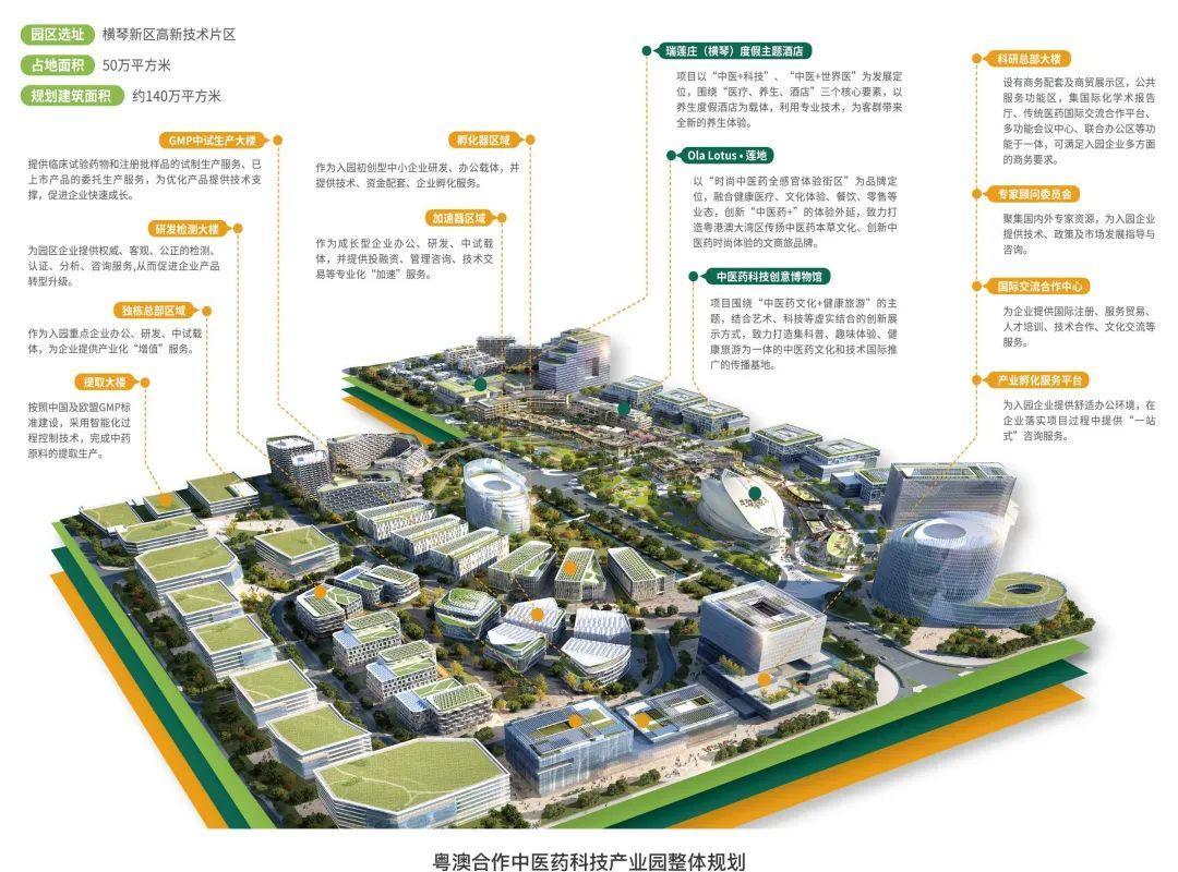 2025澳门今晚开奖记录｜经济方案解析