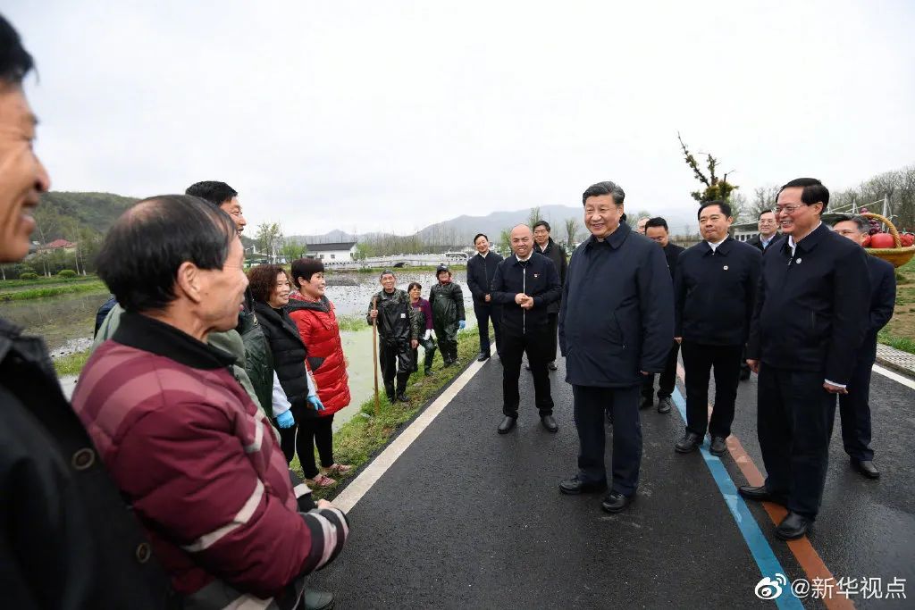 五泉林场虚拟村委会最新动态报道