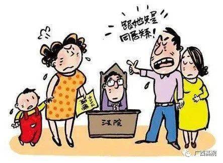 最新非法同居法律解析与概述