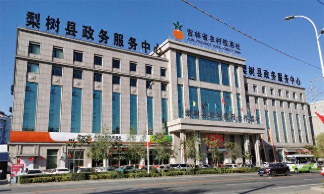 梨树区数据整合与政务服务局发展规划探讨，未来趋势展望