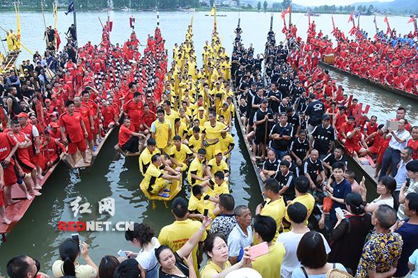 龙头庵乡最新新闻动态报道