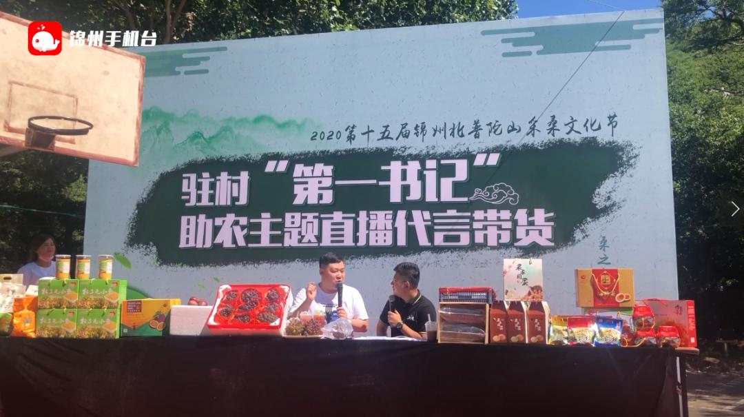 采桑镇最新新闻报道概览