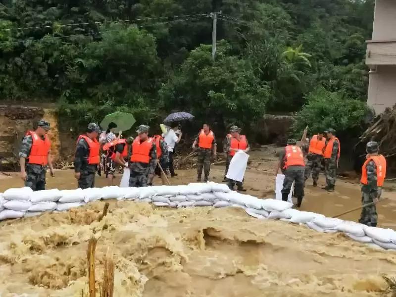 最新恢复交通举措重塑城市流动格局