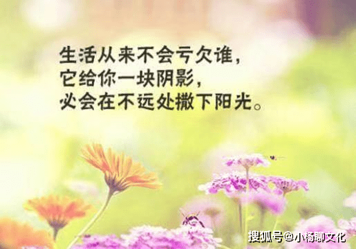 最新简短句子，浓缩生活智慧，传递时代力量之声