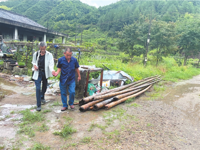 木许村乡村振兴与社区发展新篇章揭晓，最新新闻一览无余