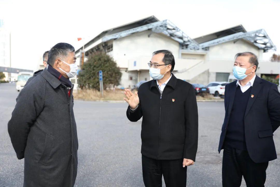 横沙岛最新疫情动态与影响概述