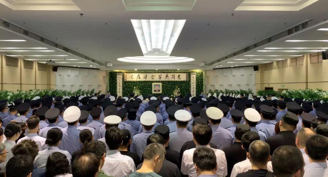 桐金